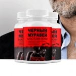 Черный муравей